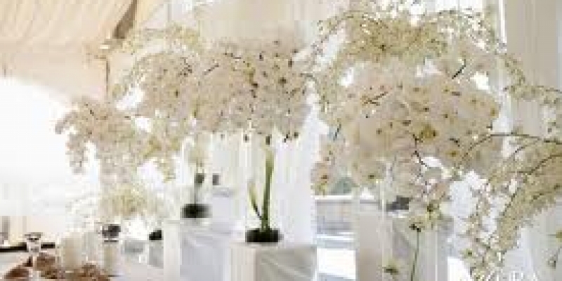 Wedding Planning Course Online